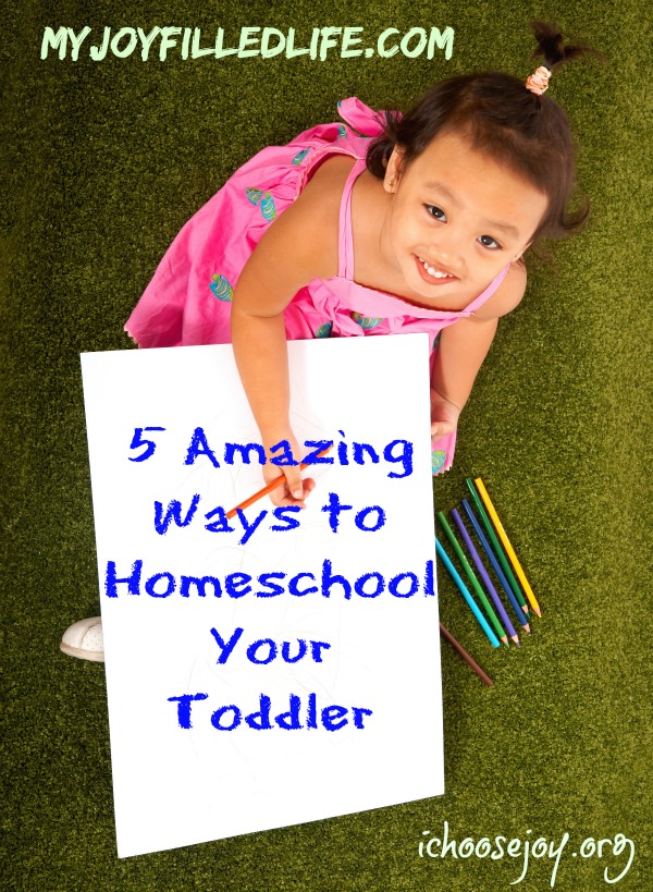 Homeschooling a 2-Year-Old  Fun Learning Activities for Your Little One