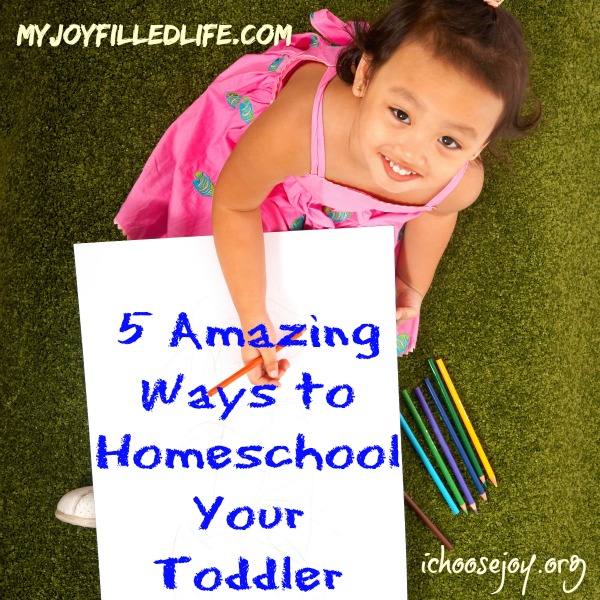 5 Amazing Ways To Homeschool Your Toddler - My Joy-Filled Life