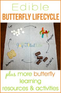 Edible Butterfly Life Cycle - My Joy-Filled Life