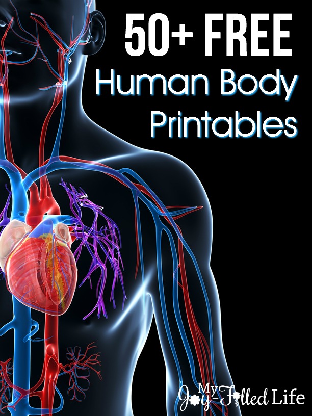 free-printable-human-anatomy-diagrams-free-printable-templates