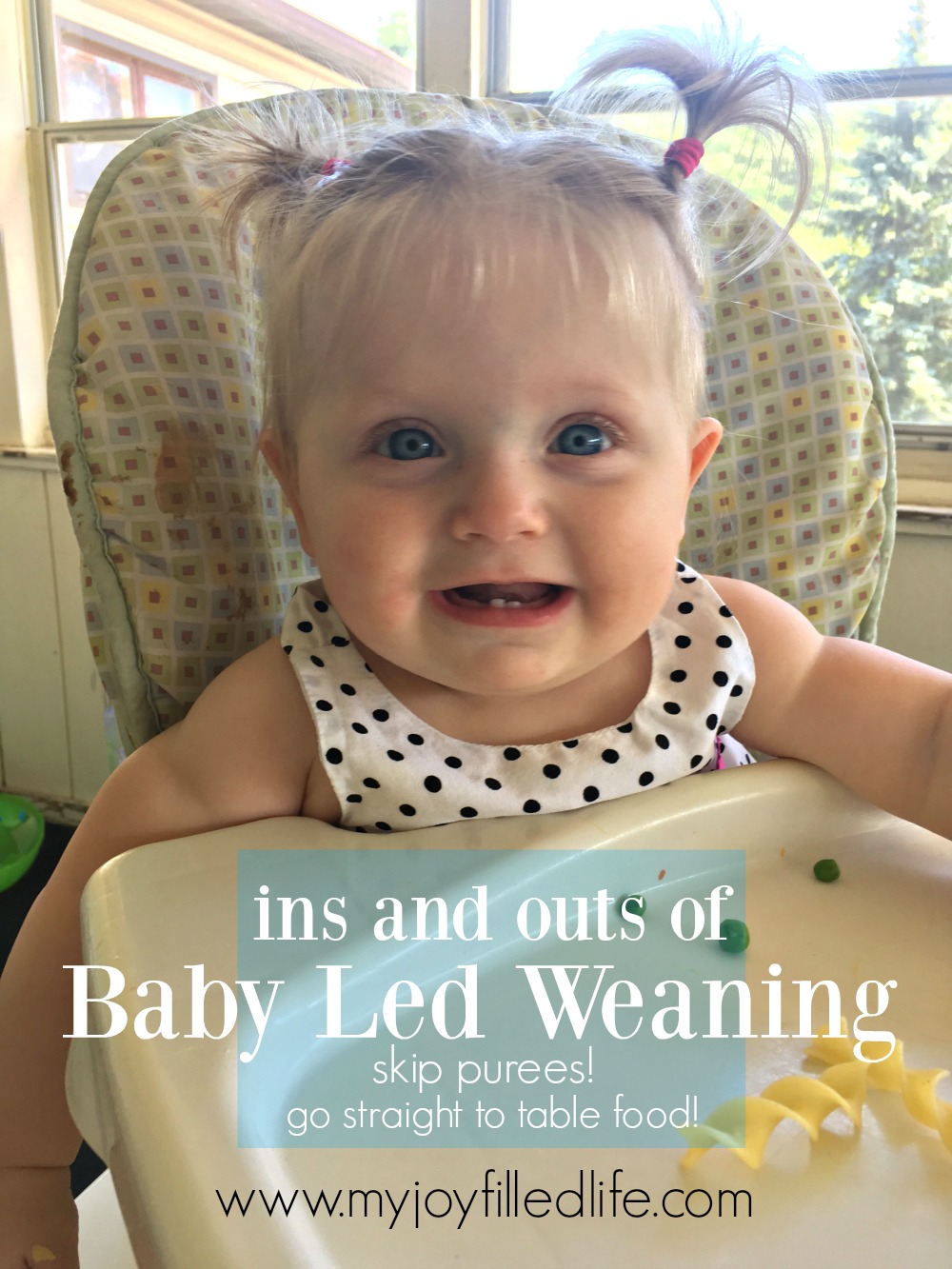 babyledweaning - My Joy-Filled Life