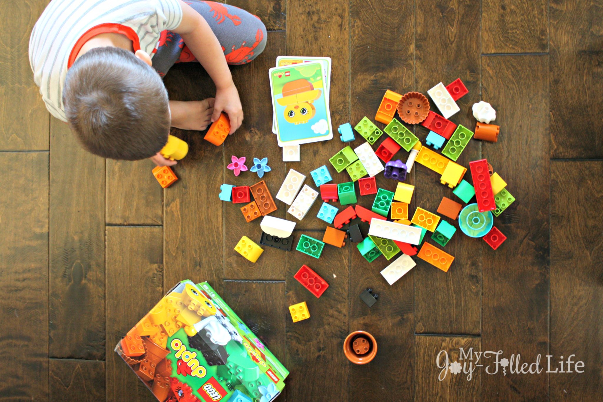 duplo-1 - My Joy-Filled Life