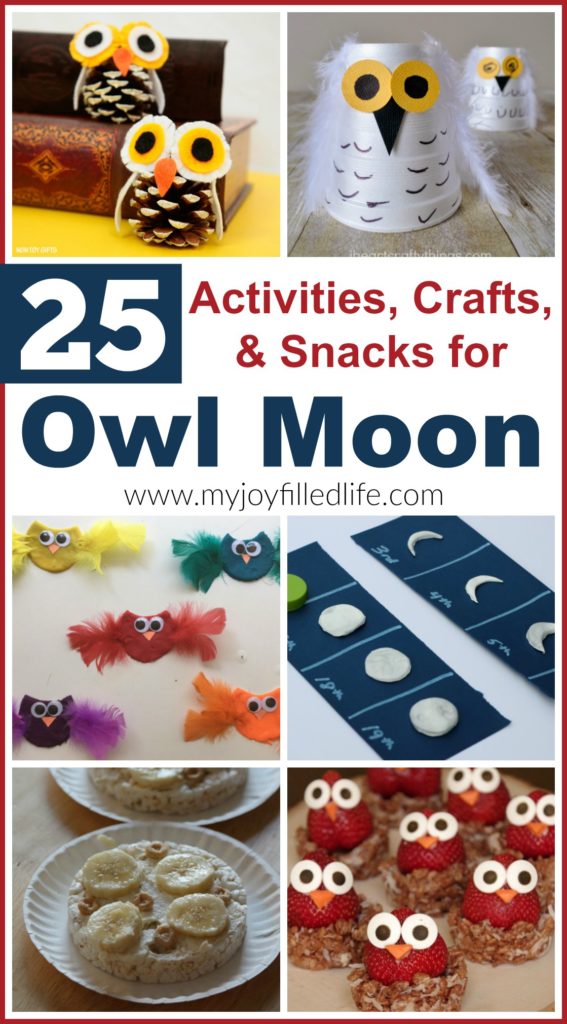 Owl Moon - Story Time Activities - My Joy-Filled Life