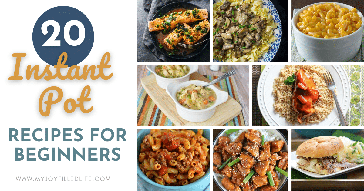 20 Easy Instant Pot Recipes for Beginners- Thrifty Frugal Mom