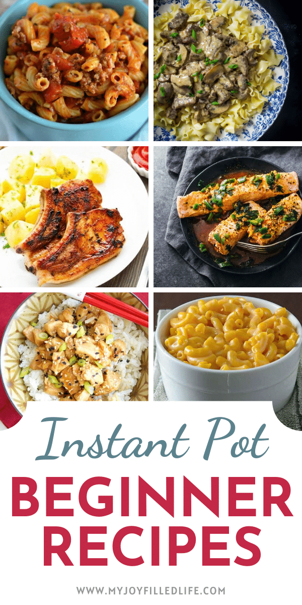 20 Easy Instant Pot Recipes for Beginners My JoyFilled Life