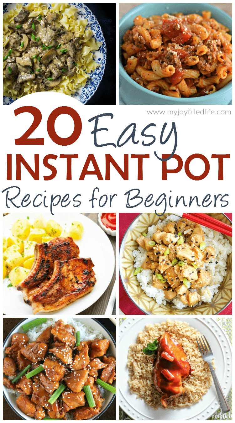 20 Easy Instant Pot Recipes for Beginners My JoyFilled Life