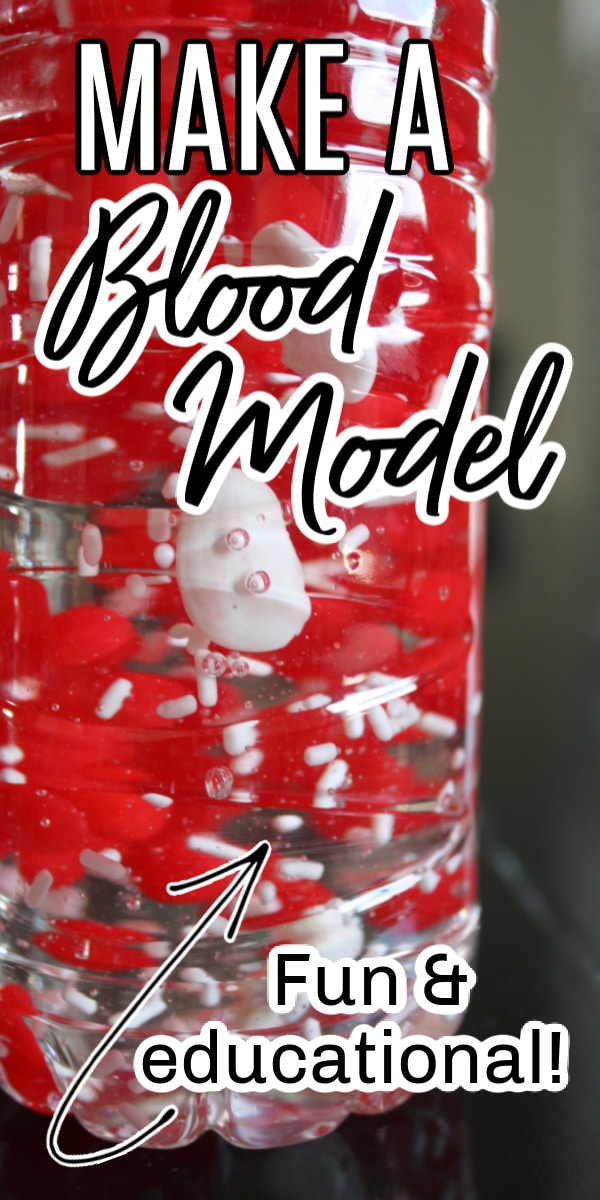 Make a Blood Model in a Bottle | Components of Blood Activity for Kids