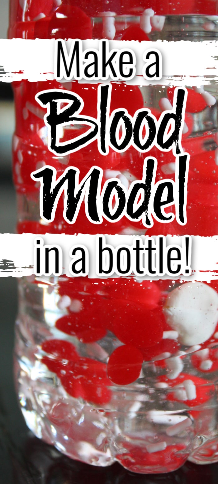 Make a Blood Model in a Bottle | Components of Blood Activity for Kids