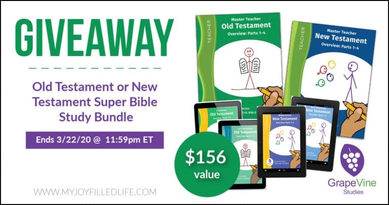 ENDED - GrapeVine Studies Bible Study Giveaway - My Joy-Filled Life