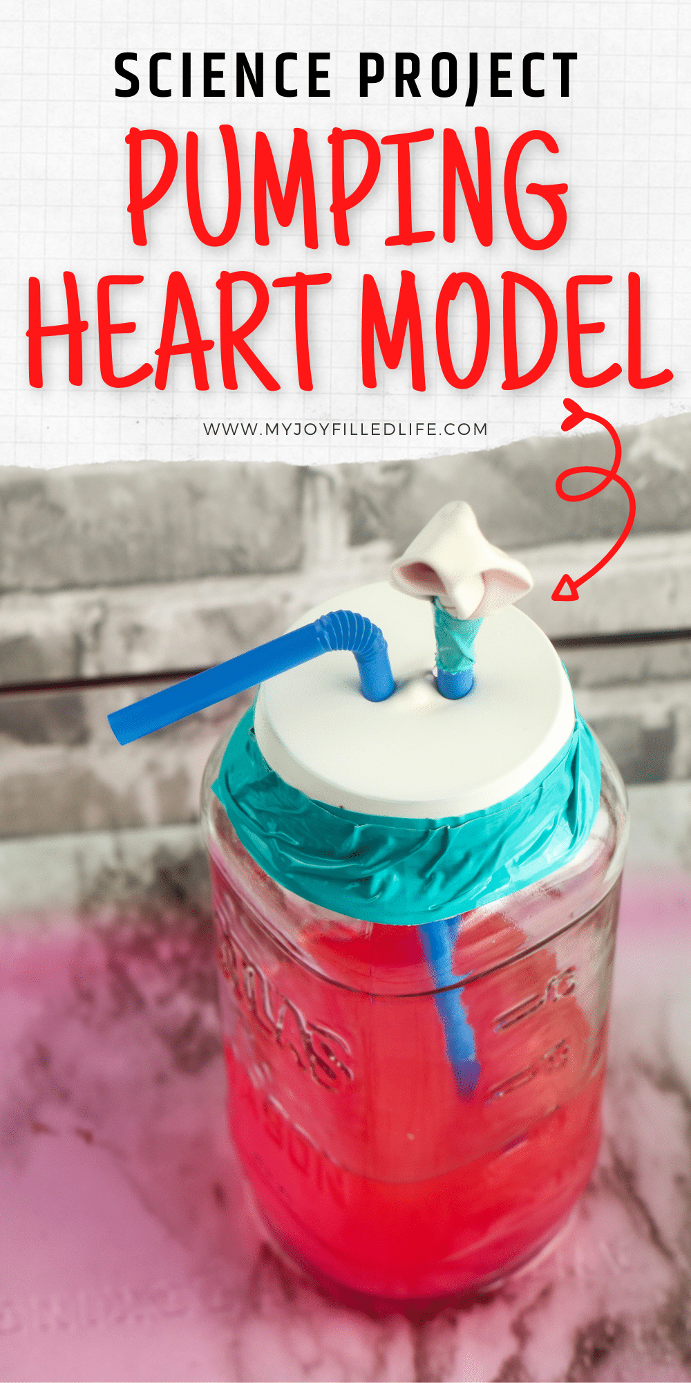 Pumping Heart Model - DIY Science Activity - My Joy-Filled Life