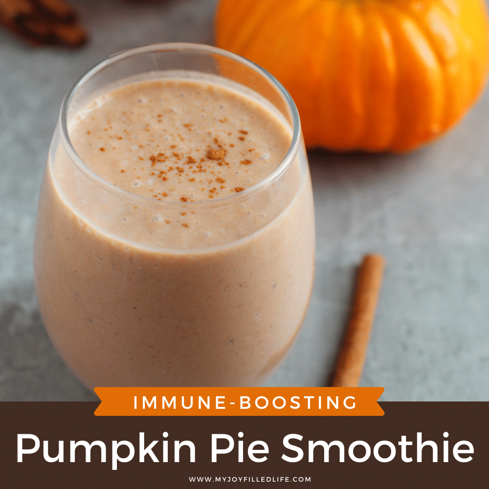 https://www.myjoyfilledlife.com/wp-content/uploads/2021/11/Pumpkin-Pie-Smoothie-square.png